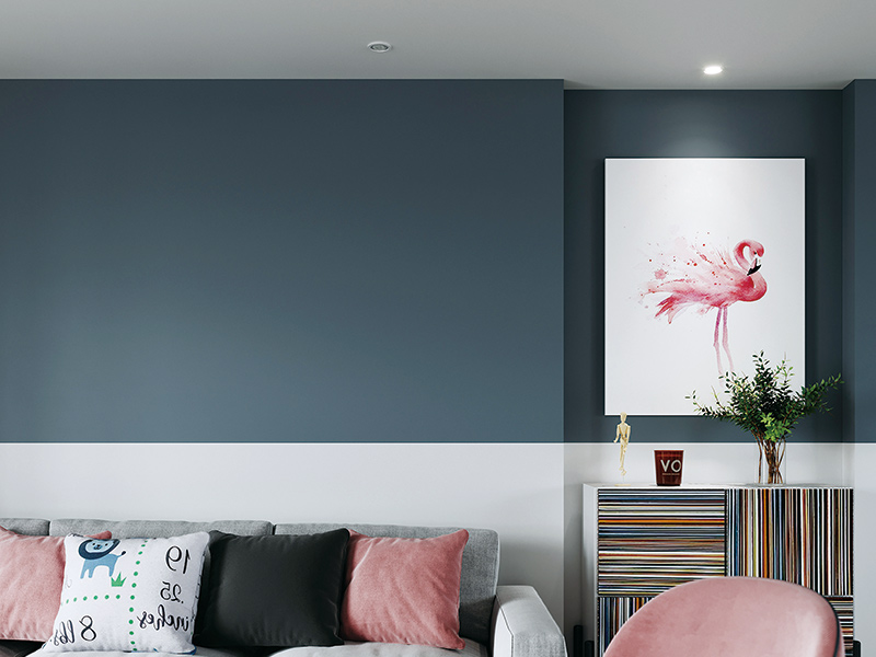 内墙艺术漆项目