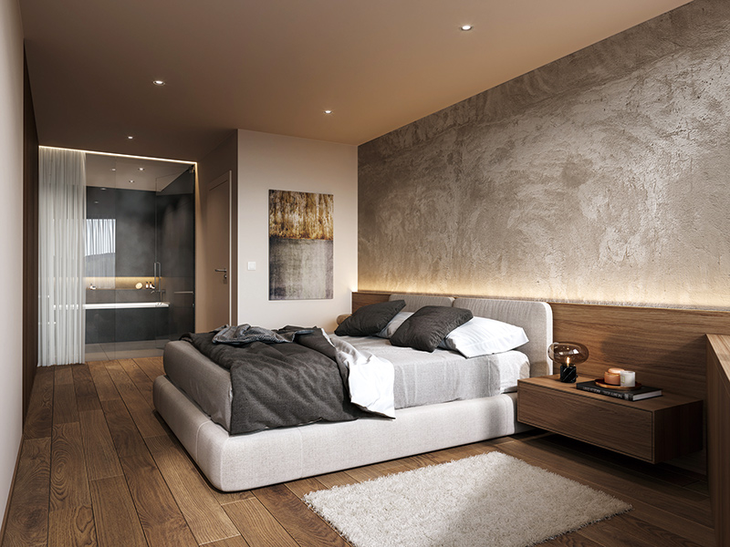 内墙艺术漆项目